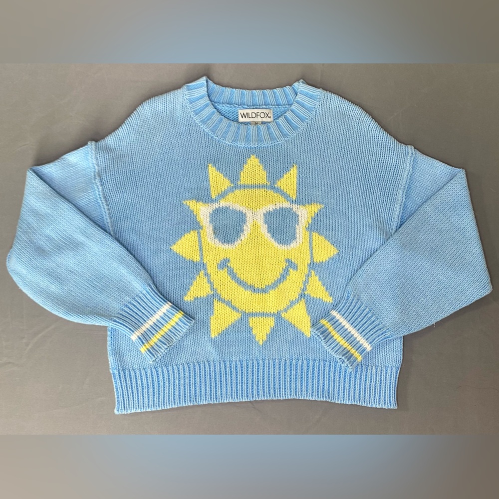 Wildfox sweater. Size M. So cozy and happy! Worn once.